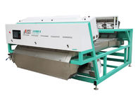 Hazelnut Color Sorter Machine sorting nuts by color and size difference