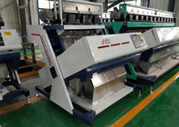 Beans Color Sorter Machinery that sort beans by color and shape,