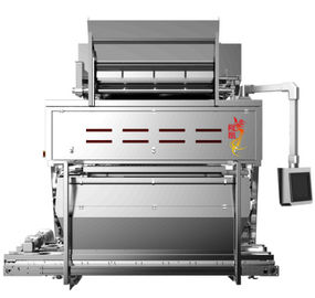 BS1200CJ-2FX-C,Cashew Nuts Optical Sorter