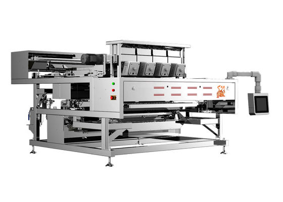 Cashew Nuts Optical Sorter