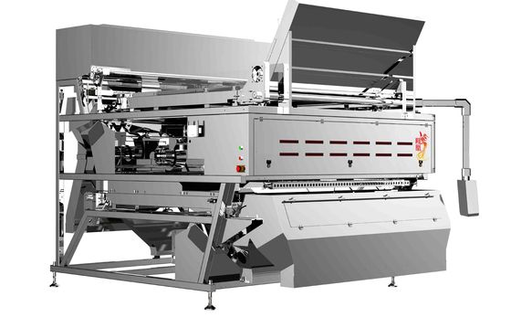 garlic color sorter machine ,which has wide range of sorting application