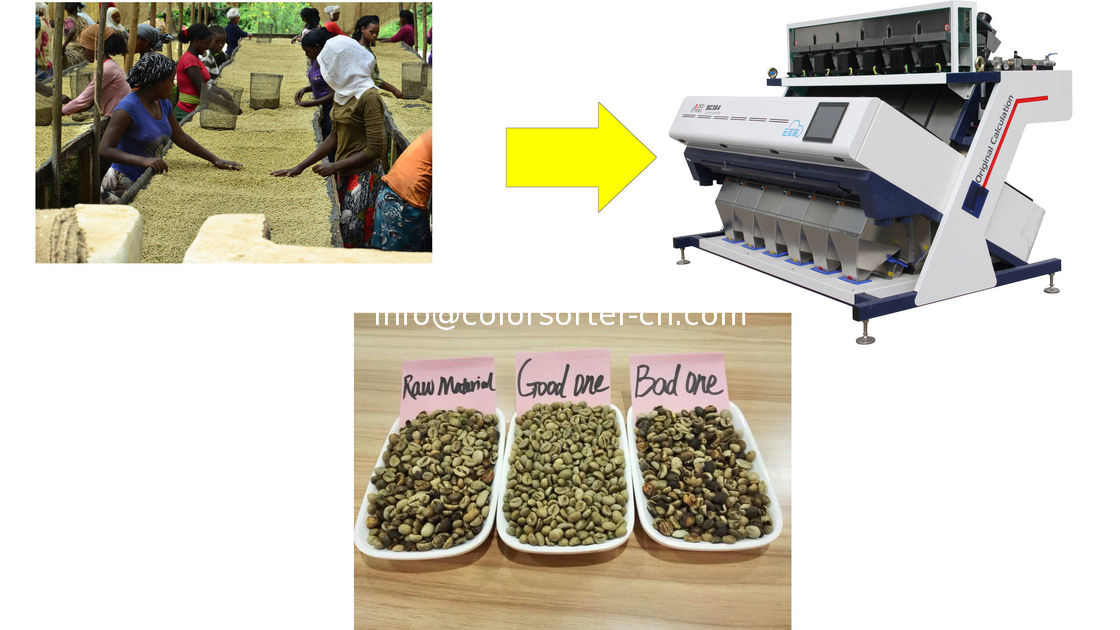 Arabica coffee sorting,coffee bean color sorter